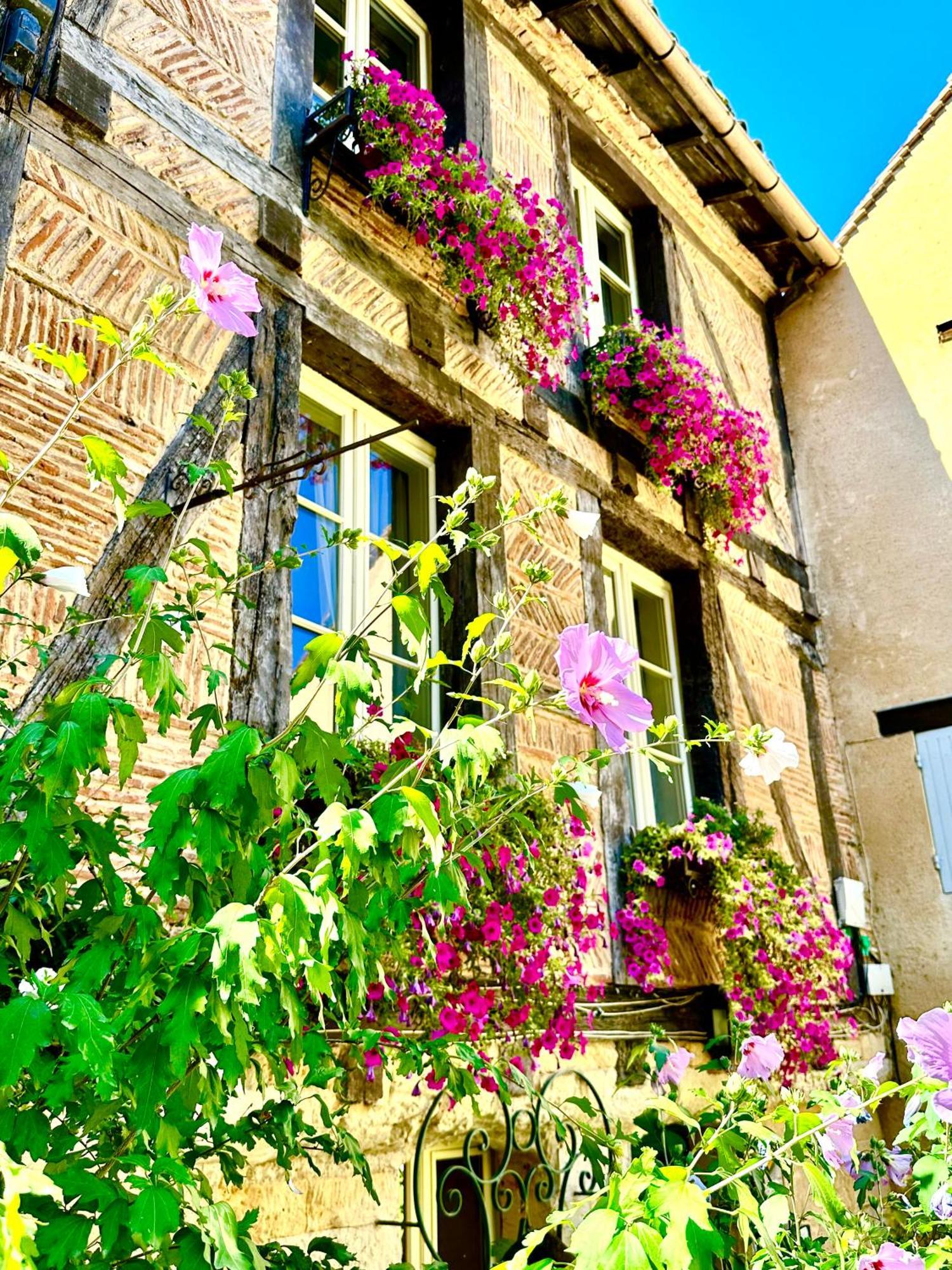 Le Logis Plantagenet Bed & Breakfast Bergerac Luaran gambar
